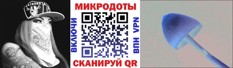 Купить закладки  Киржач  Псилоцибиновые грибы ЛСД 